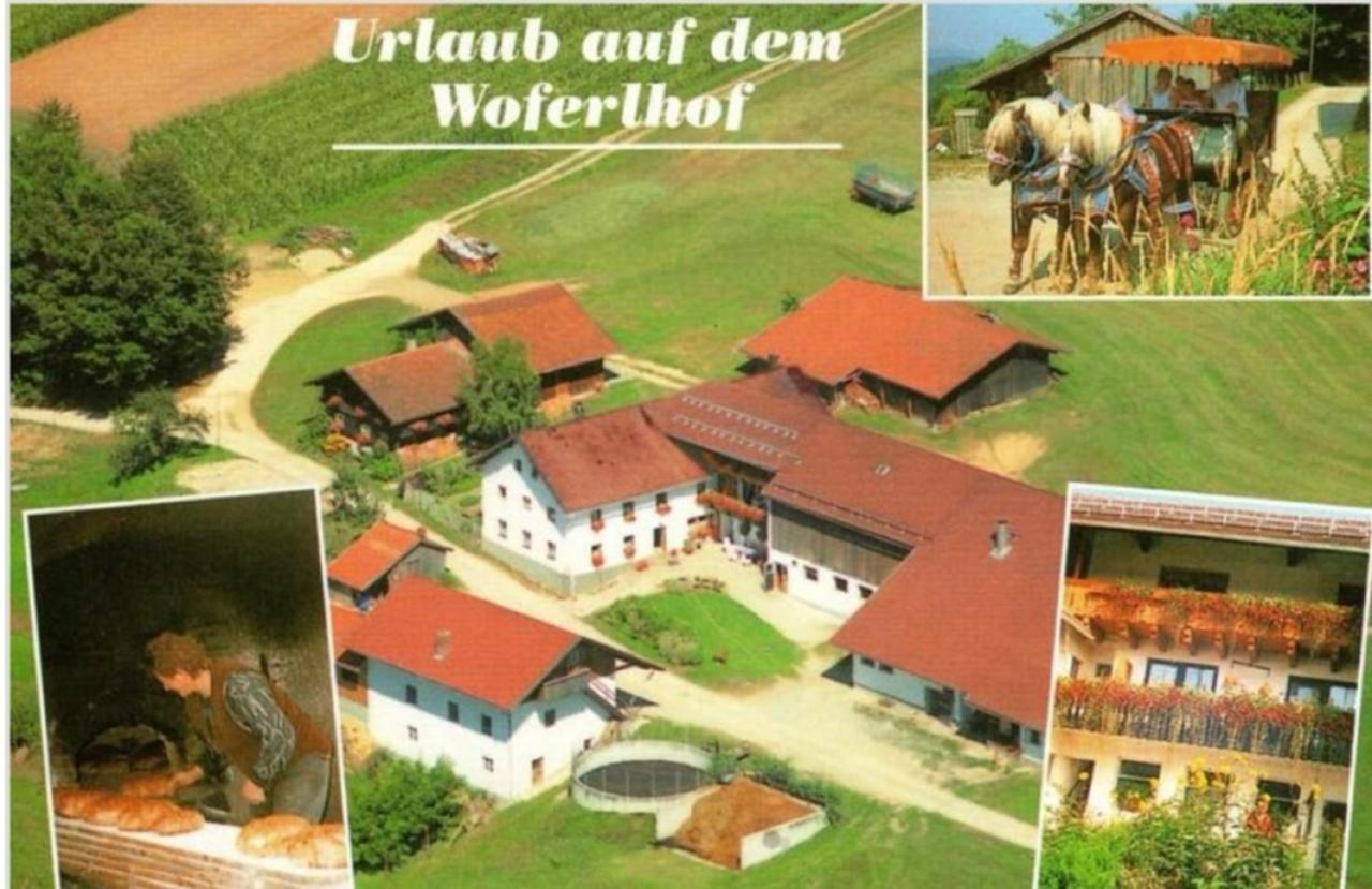 Woferlhof, Ferienhof Boxhorn Böbrach Dış mekan fotoğraf