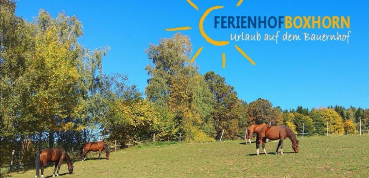 Woferlhof, Ferienhof Boxhorn Daire Böbrach Dış mekan fotoğraf