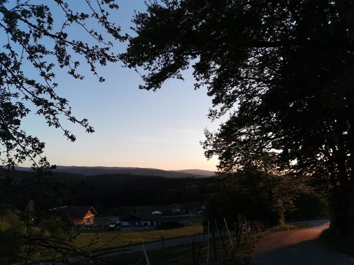 Woferlhof, Ferienhof Boxhorn Daire Böbrach Dış mekan fotoğraf