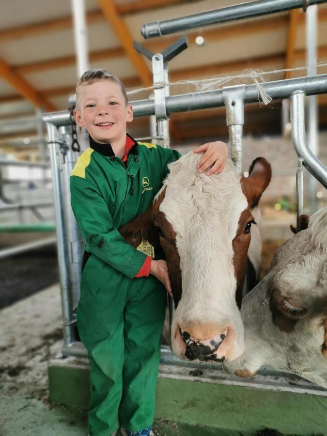 Woferlhof, Ferienhof Boxhorn Böbrach Dış mekan fotoğraf