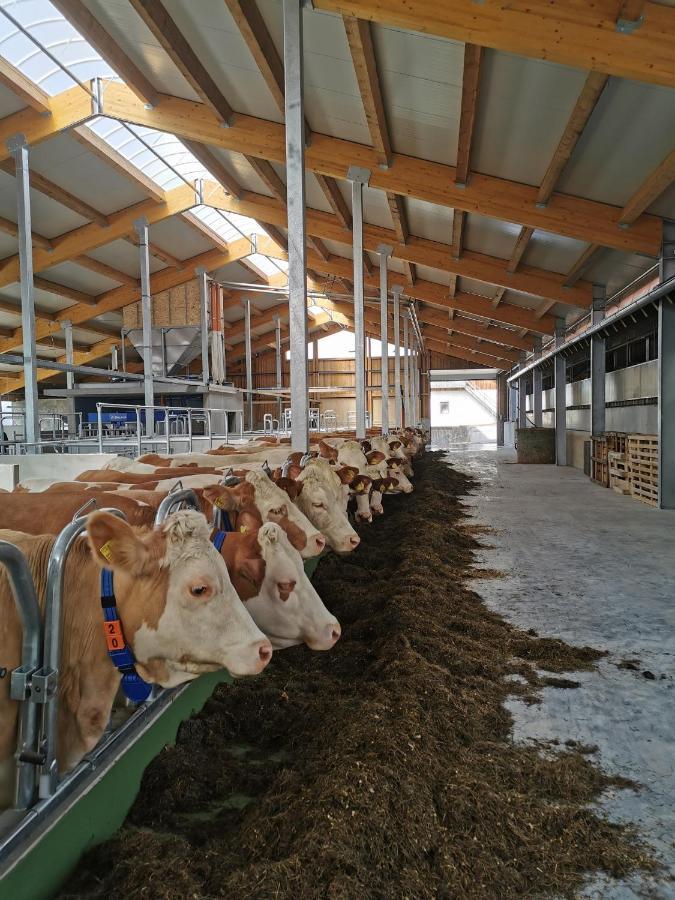 Woferlhof, Ferienhof Boxhorn Böbrach Dış mekan fotoğraf